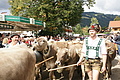 DSC03970 - Bernhard Saalfeld