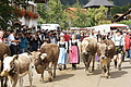 DSC03975 - Bernhard Saalfeld