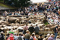 DSC03981 - Bernhard Saalfeld