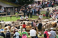 DSC03986 - Bernhard Saalfeld