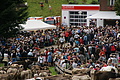 DSC03987 - Bernhard Saalfeld