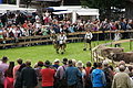 DSC03989 - Bernhard Saalfeld