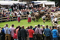 DSC03992 - Bernhard Saalfeld