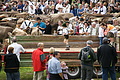 DSC04002 - Bernhard Saalfeld