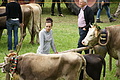 DSC04008 - Bernhard Saalfeld