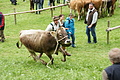 DSC04014 - Bernhard Saalfeld