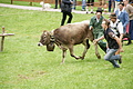 DSC04019 - Bernhard Saalfeld