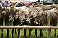 DSC04026 - Bernhard Saalfeld