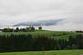 DSC04031 - Bernhard Saalfeld
