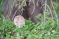 DSC04039 - Bernhard Saalfeld