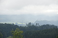 DSC04051 - Bernhard Saalfeld