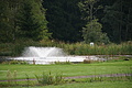 DSC04053 - Bernhard Saalfeld