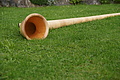 DSC04057 - Bernhard Saalfeld