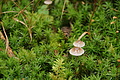 DSC04070 - Bernhard Saalfeld