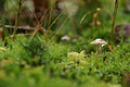 DSC04073 - Bernhard Saalfeld