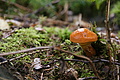 DSC04077 - Bernhard Saalfeld