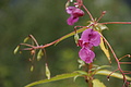 DSC04078 - Bernhard Saalfeld