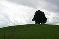 DSC04081 - Bernhard Saalfeld