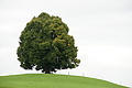 DSC04090 - Bernhard Saalfeld