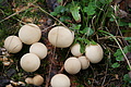DSC04095 - Bernhard Saalfeld