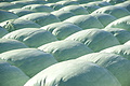 DSC04129 - Bernhard Saalfeld