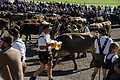DSC04158 - Bernhard Saalfeld