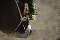 DSC04166 - Bernhard Saalfeld