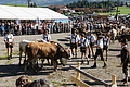 DSC04182 - Bernhard Saalfeld