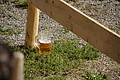 DSC04183 - Bernhard Saalfeld