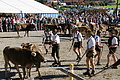 DSC04184 - Bernhard Saalfeld