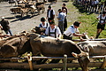 DSC04199 - Bernhard Saalfeld