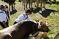 DSC04200 - Bernhard Saalfeld