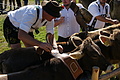 DSC04205 - Bernhard Saalfeld