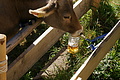 DSC04207 - Bernhard Saalfeld