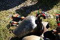 DSC04208 - Bernhard Saalfeld