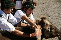 DSC04212 - Bernhard Saalfeld