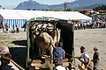 DSC04215 - Bernhard Saalfeld