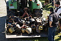 DSC04216 - Bernhard Saalfeld