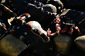 DSC04217 - Bernhard Saalfeld