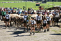 DSC04223 - Bernhard Saalfeld