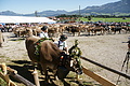 DSC04228 - Bernhard Saalfeld