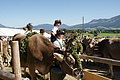 DSC04235 - Bernhard Saalfeld