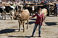 DSC04239 - Bernhard Saalfeld