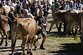 DSC04245 - Bernhard Saalfeld