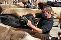 DSC04246 - Bernhard Saalfeld