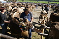 DSC04250 - Bernhard Saalfeld
