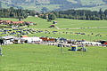 DSC04264 - Bernhard Saalfeld