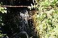 DSC04266 - Bernhard Saalfeld