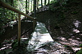 DSC04270 - Bernhard Saalfeld