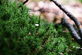 DSC04273 - Bernhard Saalfeld
